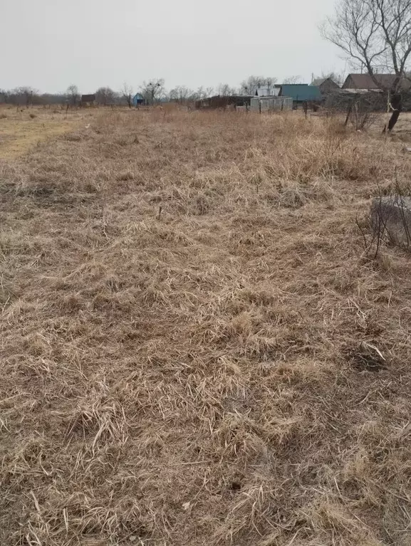 Участок в Приморский край, Уссурийский городской округ, с. Воздвиженка ... - Фото 0