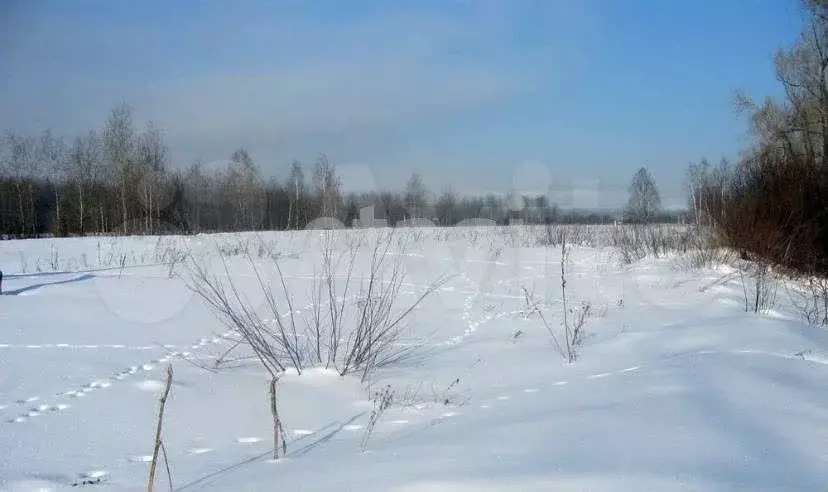 Участок 12,4 сот. (личное подсобное хозяйство (лпх)) - Фото 0