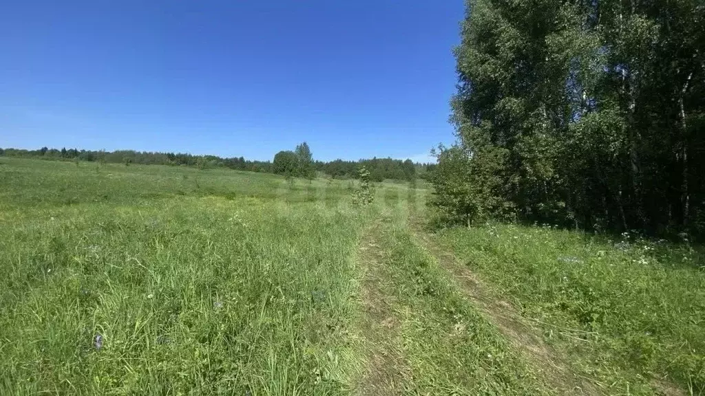 Участок в Московская область, Сергиево-Посадский городской округ, ДПК ... - Фото 2
