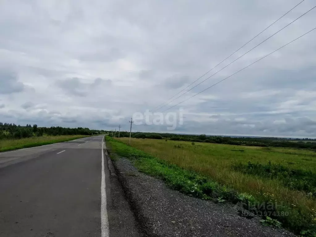 Участок в Кемеровская область, Кемеровский муниципальный округ, д. ... - Фото 1