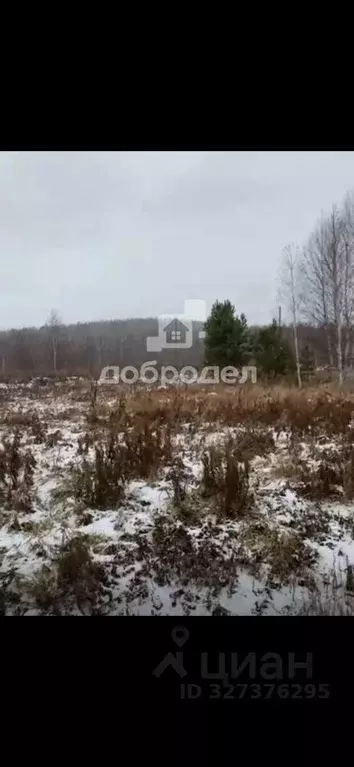 Участок в Свердловская область, Ревда муниципальный округ, с. Кунгурка ... - Фото 2