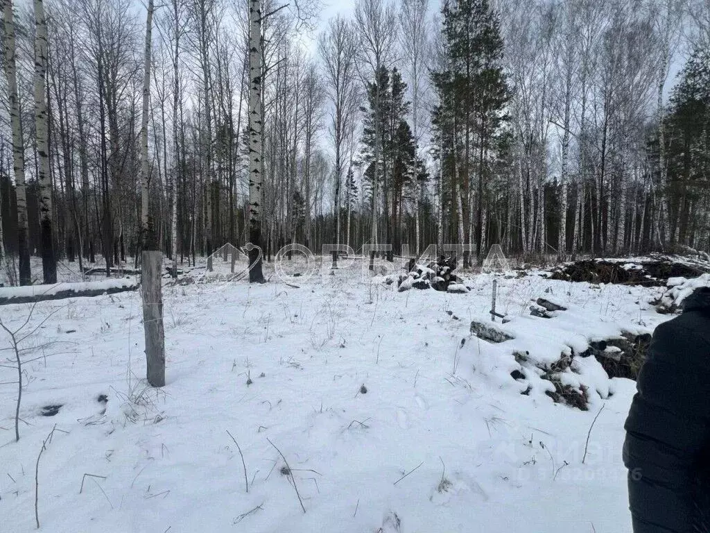 Участок в Тюменская область, Нижнетавдинский район, с. Тюнево ул. ... - Фото 1
