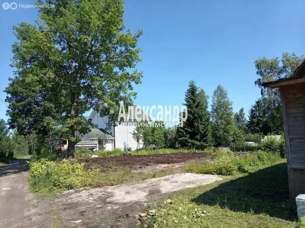 Участок в Ленинградская область, Кировское городское поселение, ... - Фото 2