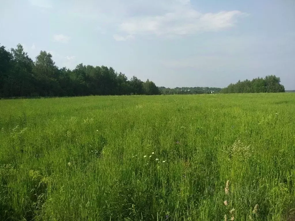 участок в московская область, сергиево-посадский городской округ, д. . - Фото 0