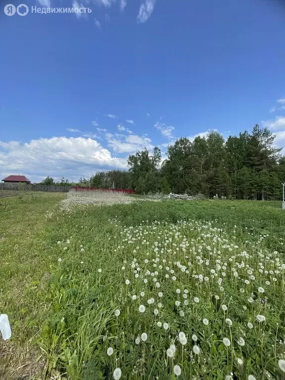 Участок в село Косой Брод, Солнечная улица (11.5 м) - Фото 1