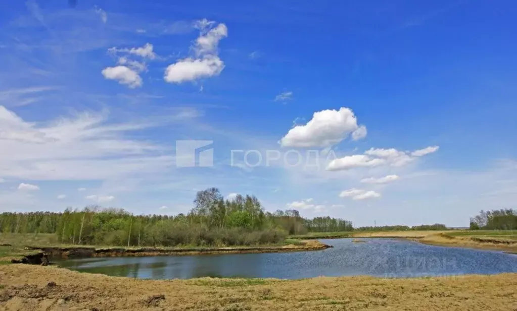 Участок в Новосибирская область, Новосибирский район, Криводановский ... - Фото 2