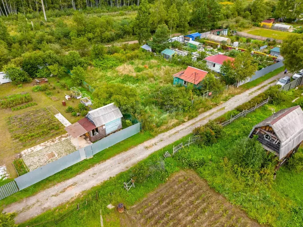 Дом в Еврейская автономная область, Смидовичский район, Энтузиаст СНТ ... - Фото 2