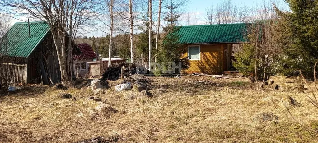 Участок в Карелия, Прионежский район, Деревянское с/пос ул. Сосновая ... - Фото 2