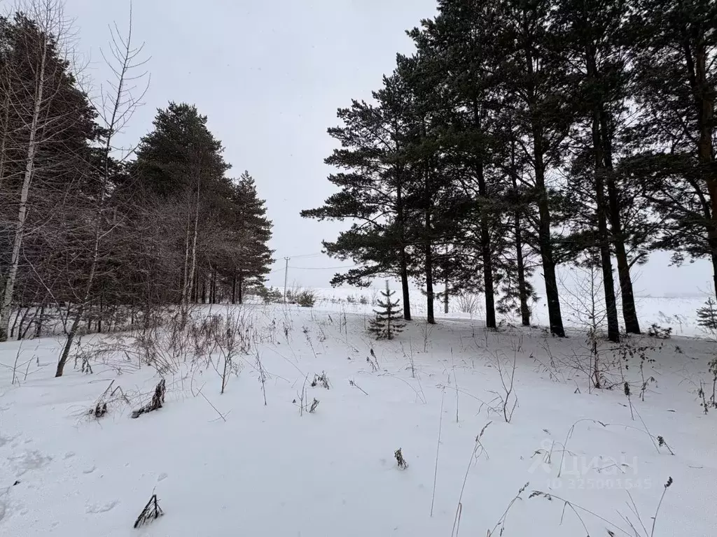 Участок в Кемеровская область, Новокузнецк Целинный проезд (15.0 сот.) - Фото 1