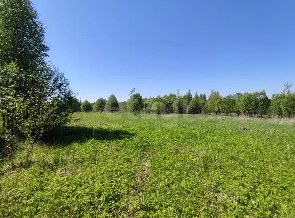 Участок в Вологодская область, Кирилловский муниципальный округ, д. ... - Фото 1