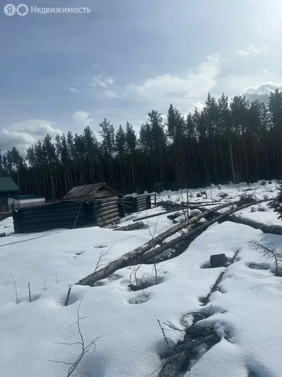 Участок в посёлок городского типа Краснозатонский, Ромашковая улица, 7 ... - Фото 1