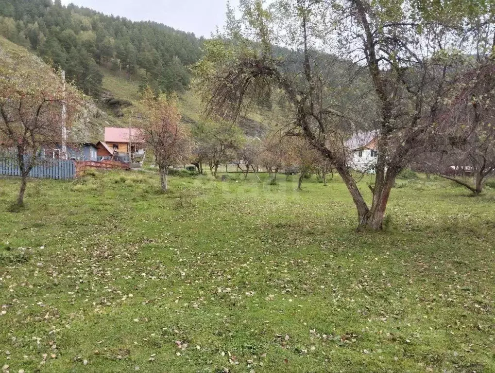 Участок в Алтай, Чемальский район, Элекмонарское с/пос, с. Элекмонар ... - Фото 2