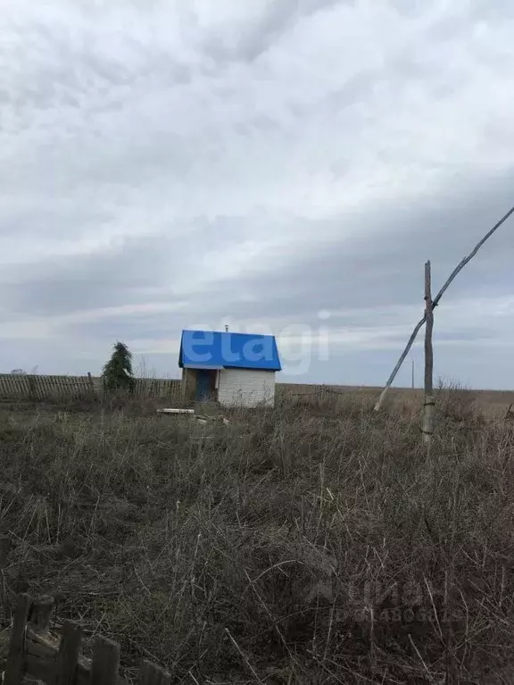 Участок в Башкортостан, Кармаскалинский район, Николаевский сельсовет, ... - Фото 0