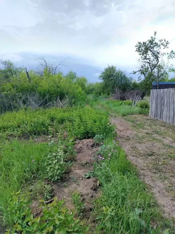Участок в Ростовская область, Новочеркасск ул. Нарядная (6.0 сот.) - Фото 0