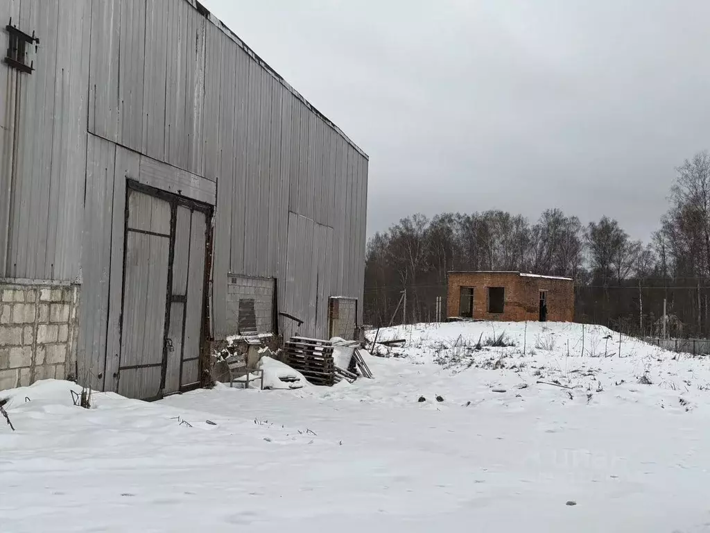 Помещение свободного назначения в Московская область, Рузский ... - Фото 1