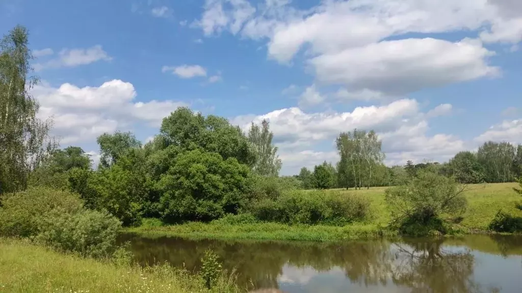 Участок в Московская область, Богородский городской округ, д. Стулово  ... - Фото 1