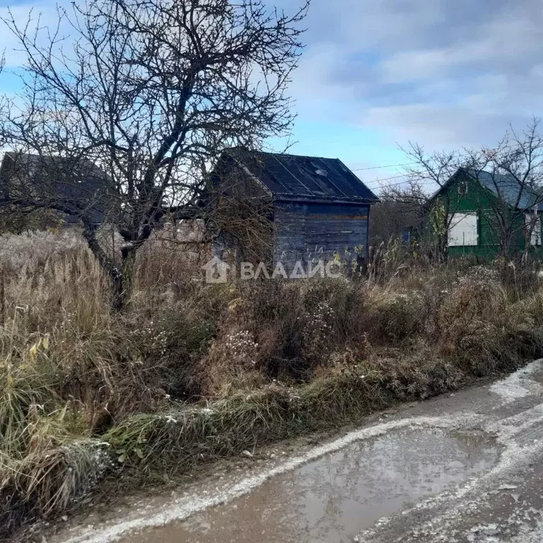 Участок в Владимирская область, Владимир сад Садовод, 28 (6.3 сот.) - Фото 0