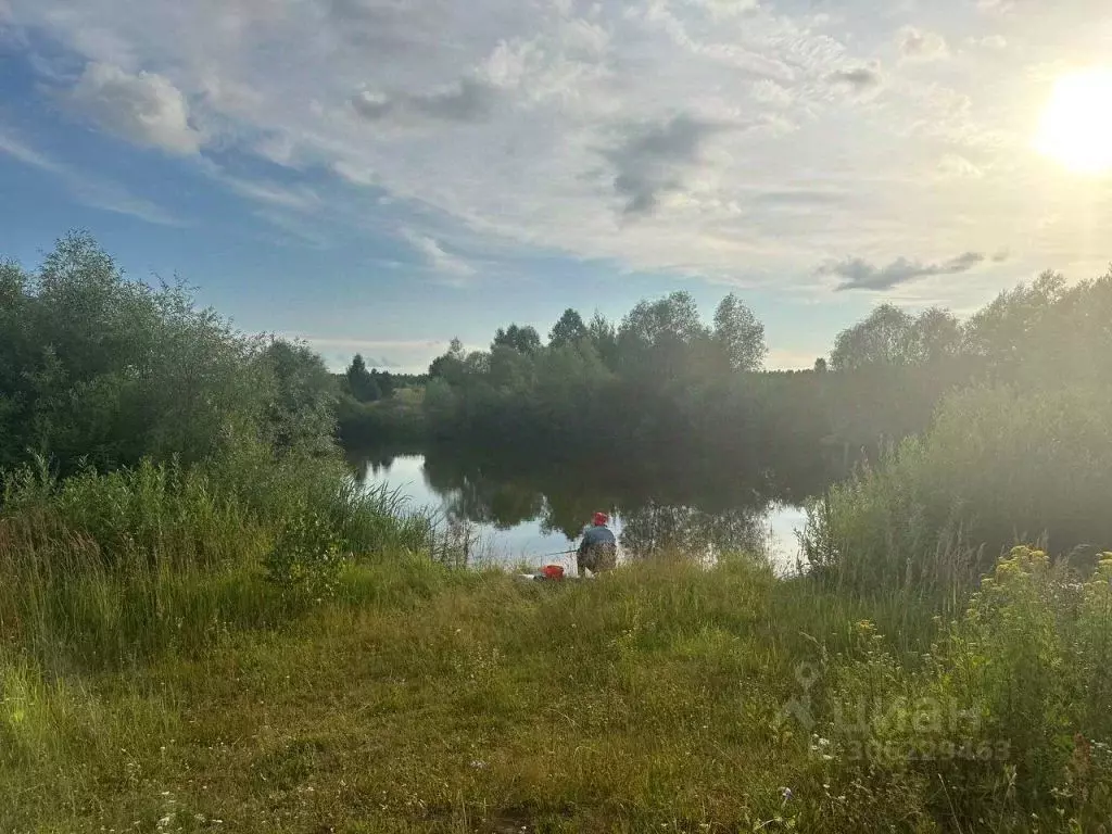 Участок в Нижегородская область, Арзамас городской округ, с. ... - Фото 0