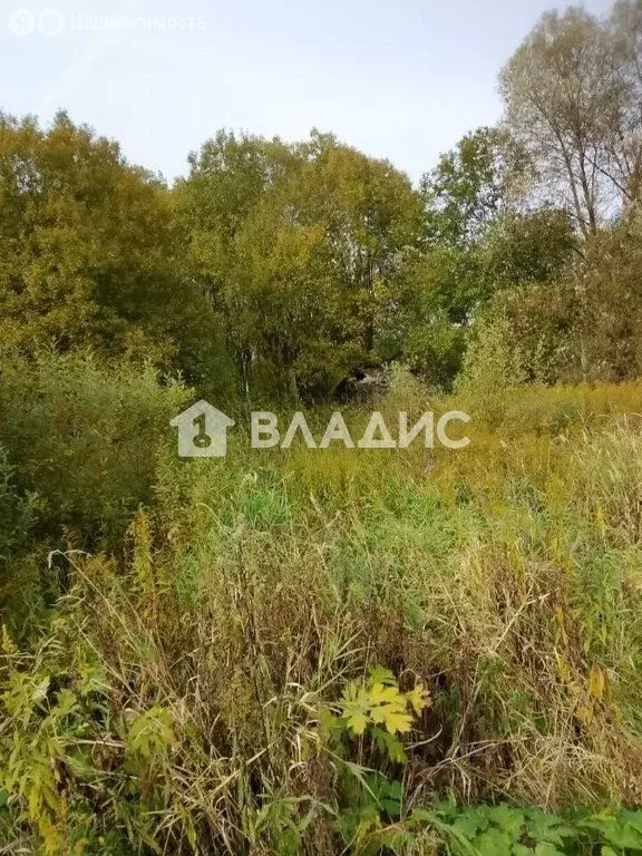 Участок в Москва, ТАО, Краснопахорский район, деревня Исаково (12 м) - Фото 1