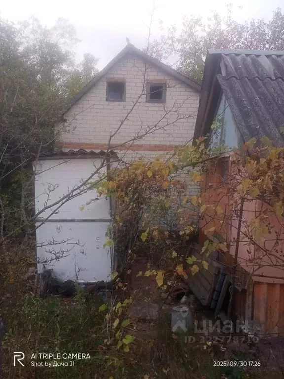 Участок в Белгородская область, Белгородский район, Беломестненское ... - Фото 1