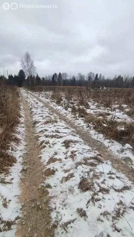 Участок в Карабихское сельское поселение, деревня Комарово (20 м) - Фото 0