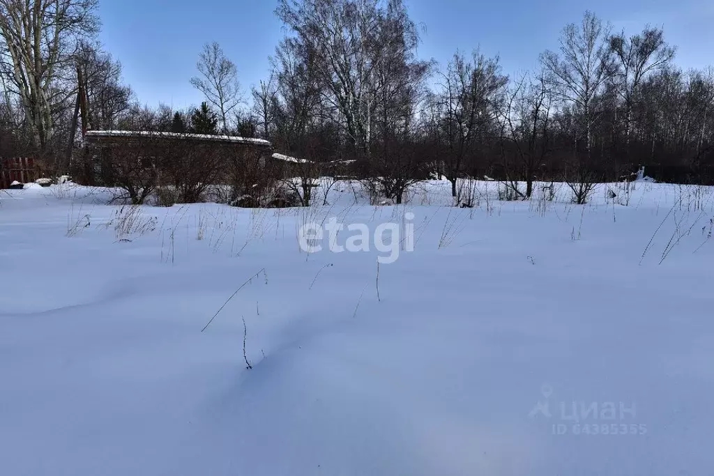 Участок в Алтайский край, Бийский район, пос. Полеводка ул. Грибная ... - Фото 1