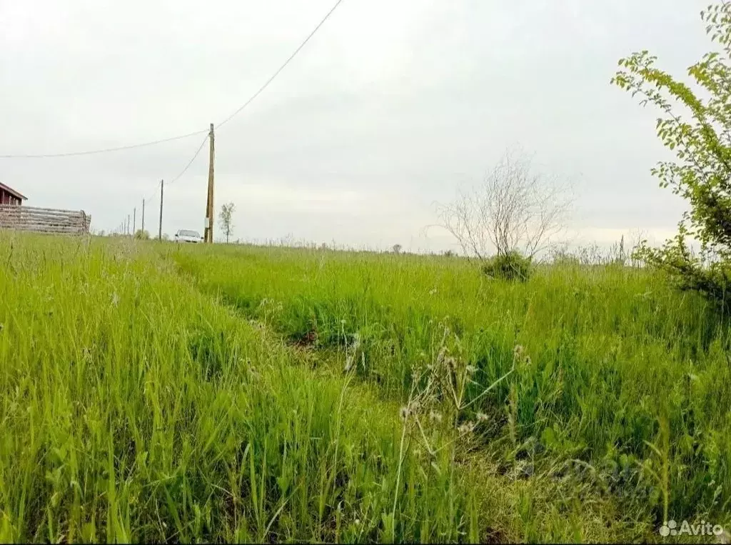 Участок в Самарская область, Волжский район, Черновский с/пос  (15.0 ... - Фото 1