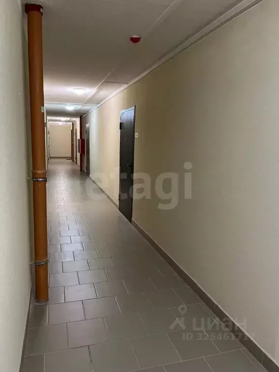 1-к кв. Санкт-Петербург пос. Шушары, Московское ш., 262к1 (35.6 м) - Фото 2