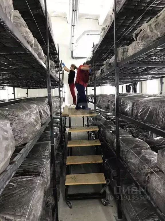 Склад в Курская область, Железногорский район, Разветьевский ... - Фото 1