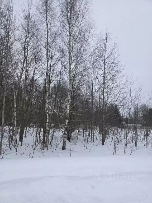 Участок в Владимирская область, Александровский муниципальный округ, ... - Фото 2