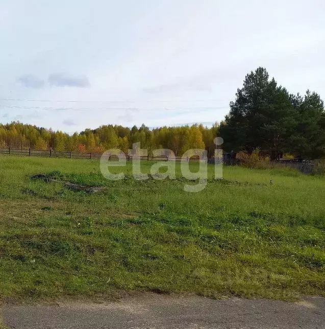 Участок в Вологодская область, с. Устье ул. Школьная (12.92 сот.) - Фото 1