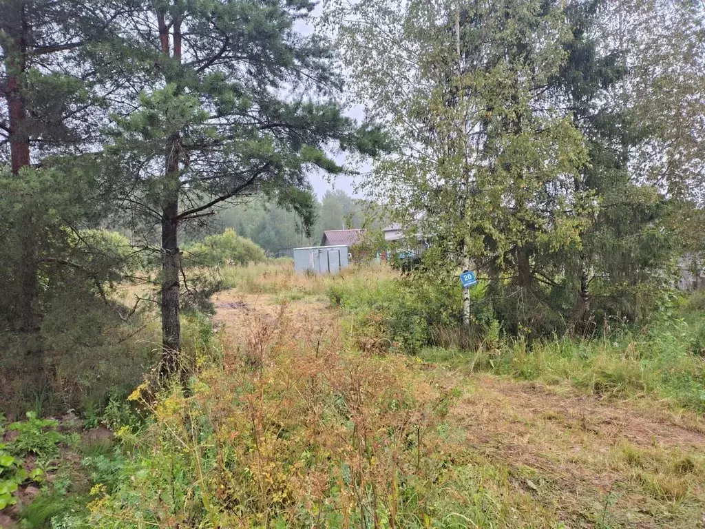 Участок в Новгородская область, Чудовский район, Успенское с/пос, ... - Фото 1