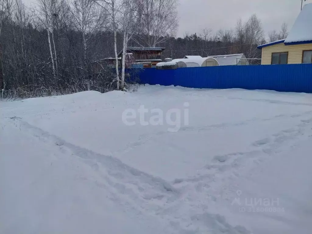 Участок в Новосибирская область, Новосибирск Бытовик СНТ, ул. Дачная ... - Фото 1