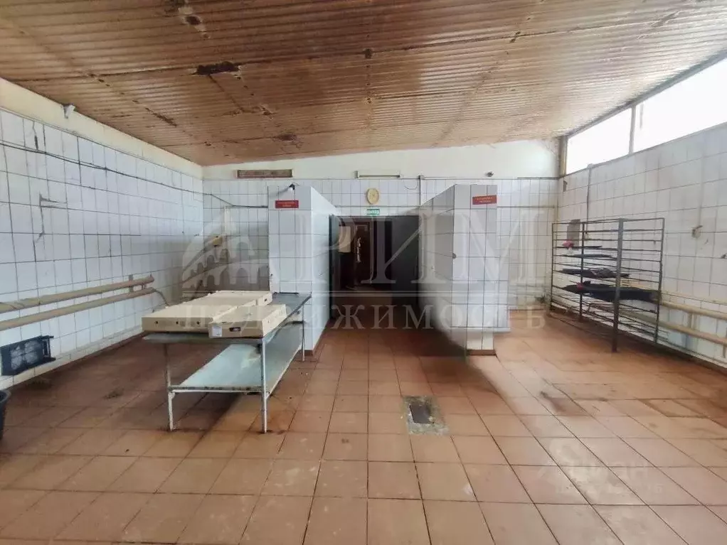 Производственное помещение в Пензенская область, Пенза проезд 2-й ... - Фото 2