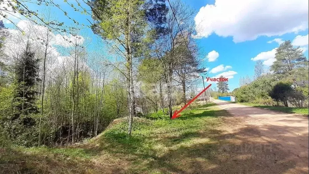 Участок в Ленинградская область, Киришский район, Пчевжинское с/пос, ... - Фото 1