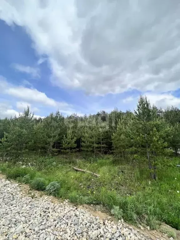 Участок в Свердловская область, Сысертский муниципальный округ, ... - Фото 2