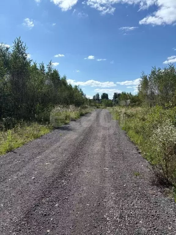 Участок в Московская область, Солнечногорск городской округ, д. ... - Фото 1