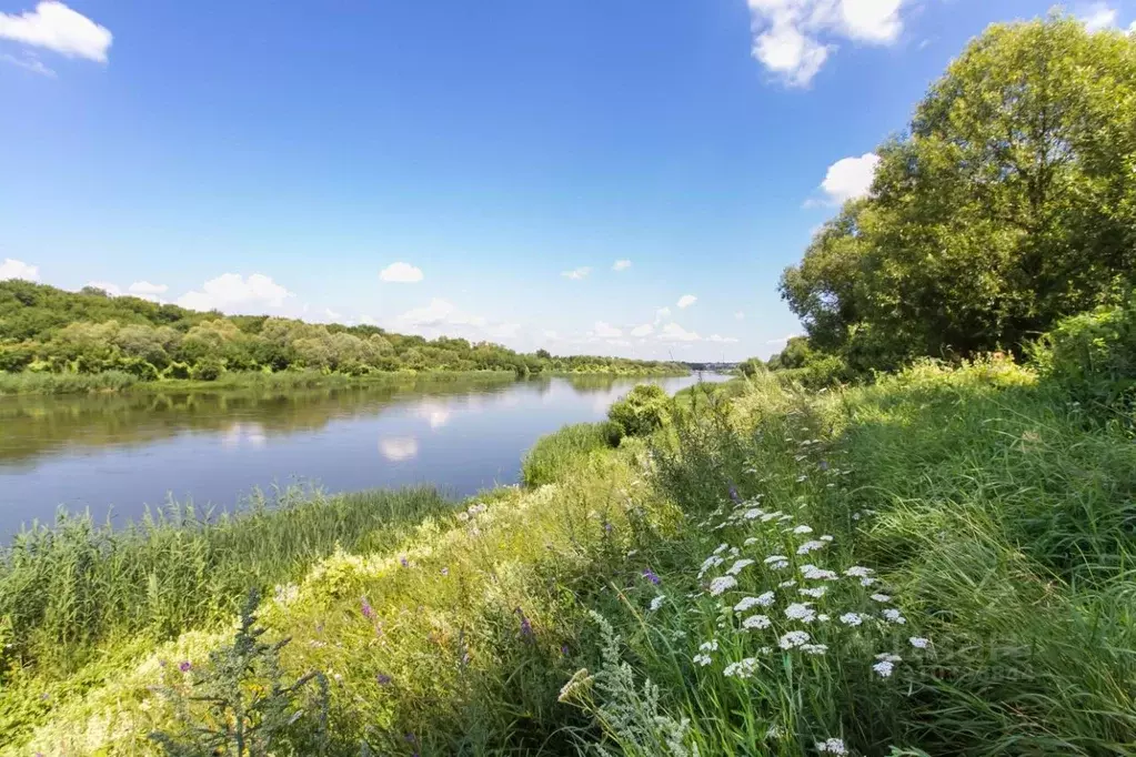 Участок в Воронежская область, Рамонский район, с. Новоживотинное ул. ... - Фото 1