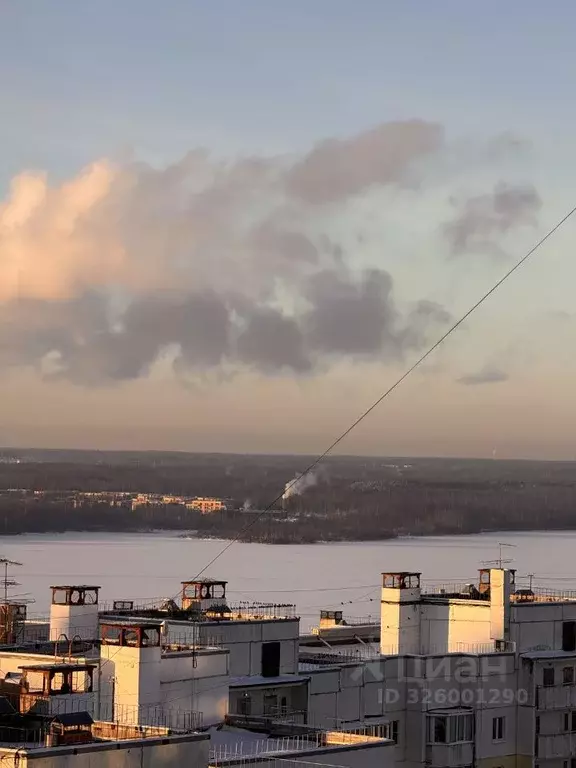 Студия Санкт-Петербург Мебельная ул., 35к2 (24.0 м) - Фото 2