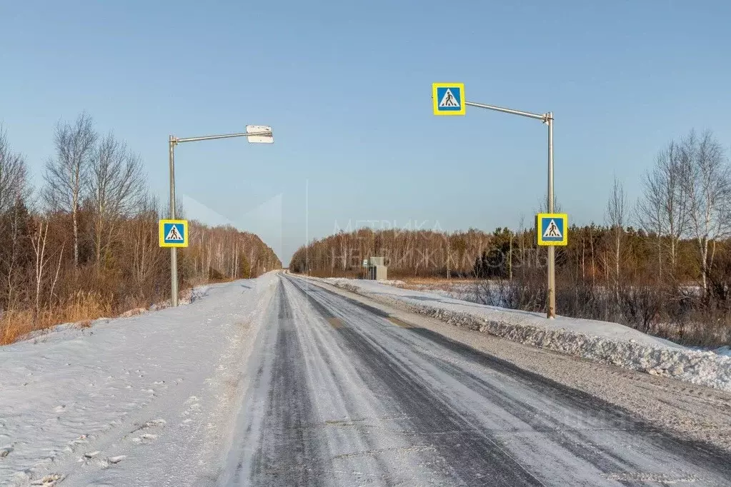 Участок в Тюменская область, Тюменский район, Янтарное ДНТ  (7.4 сот.) - Фото 1