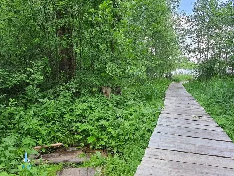 Участок в Псковская область, Плюсский муниципальный округ, д. ... - Фото 1