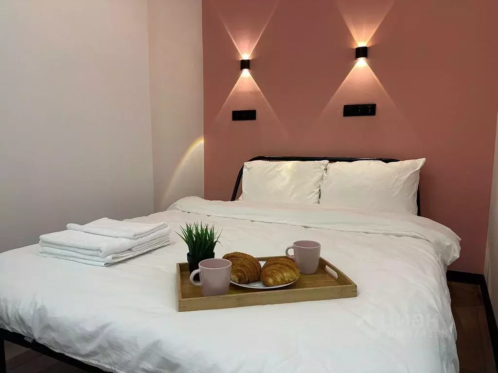Студия Санкт-Петербург Невский просп., 65 (25.0 м) - Фото 1