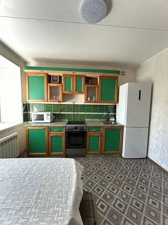 1-к кв. Новосибирская область, Новосибирск ул. Грибоедова, 32/3 (40.0 ... - Фото 0