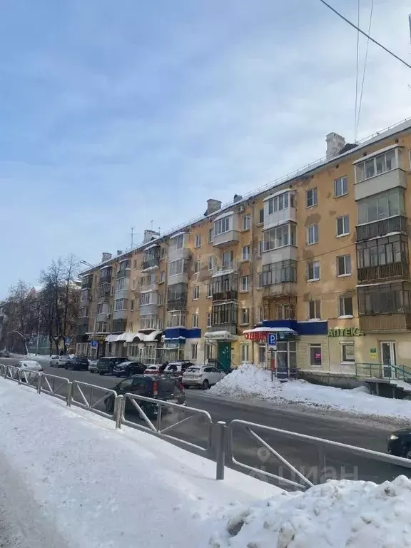 1-к кв. Пермский край, Пермь Петропавловская ул., 68 (32.5 м) - Фото 1