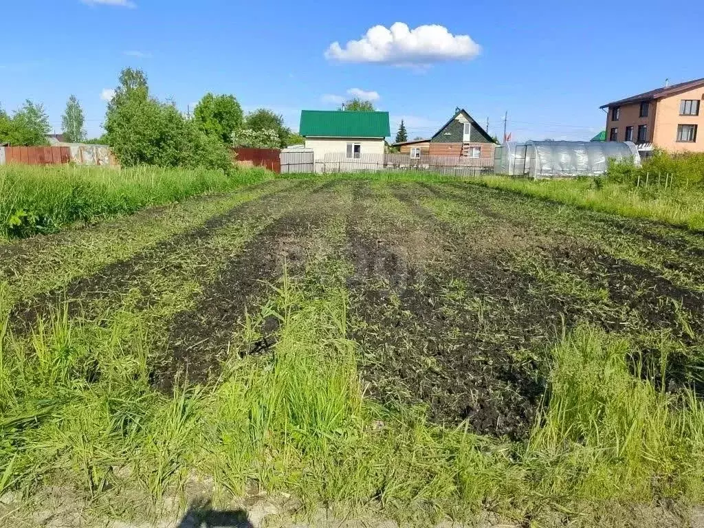 Участок в Тюменская область, Тюмень Факел СНТ, 5-я линия, 204 (5.5 ... - Фото 1