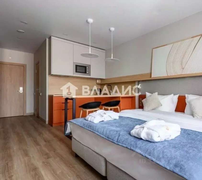 Студия Санкт-Петербург бул. Измайловский, 1к2 (26.7 м) - Фото 1
