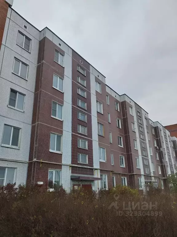 2-к кв. Ленинградская область, Гатчина ул. Генерала Кныша, 5 (52.0 м) - Фото 2