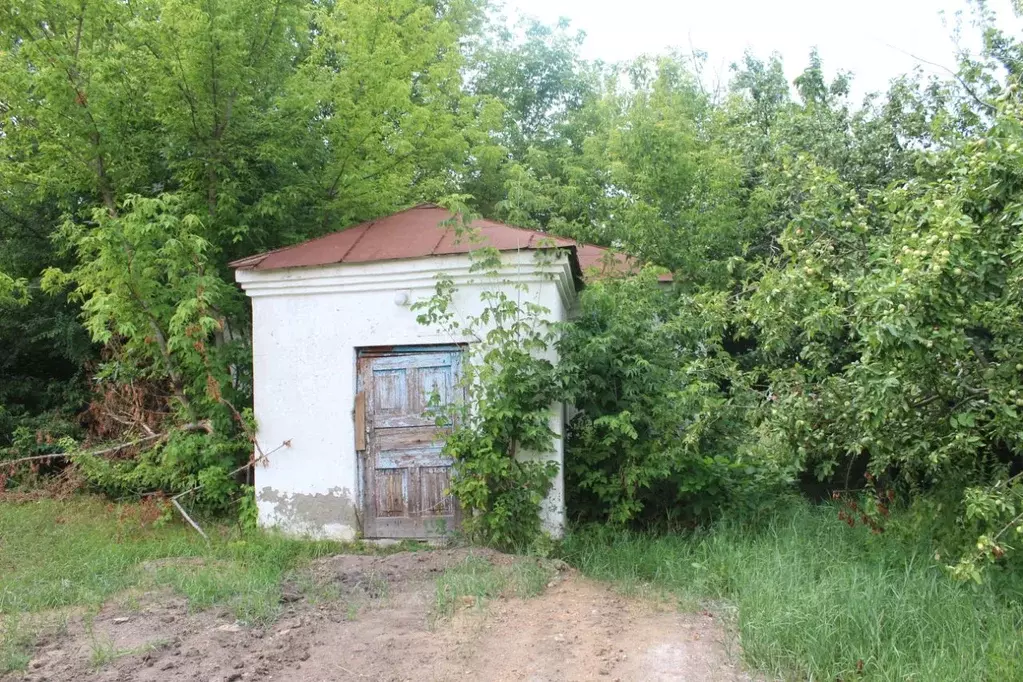 Помещение свободного назначения в Воронежская область, Верхнемамонский ... - Фото 0