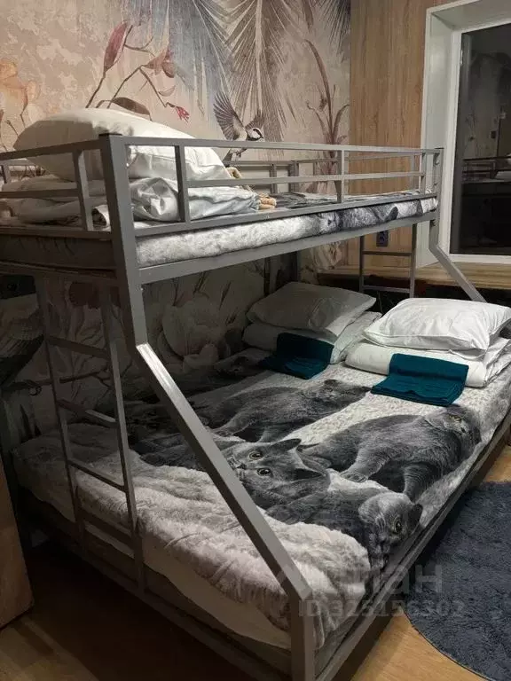 Комната Санкт-Петербург просп. Уткин, 13К1 - Фото 2