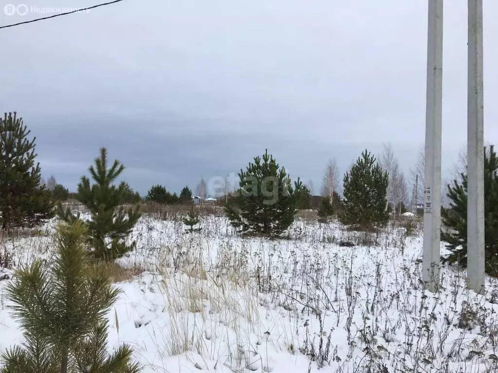 Участок в Ялуторовск, улица Филиппова (9.5 м) - Фото 2